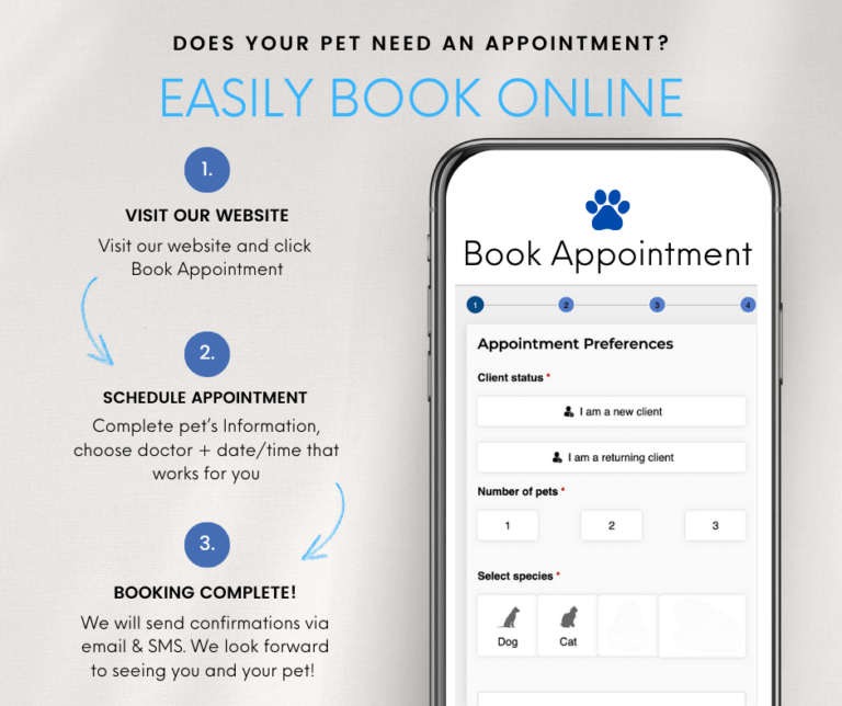 Schedule An Appointment Lakefield Pet Wellness Center AZ